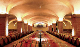 Castiglion del Bosco винній погреб