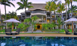 Royal Palm
