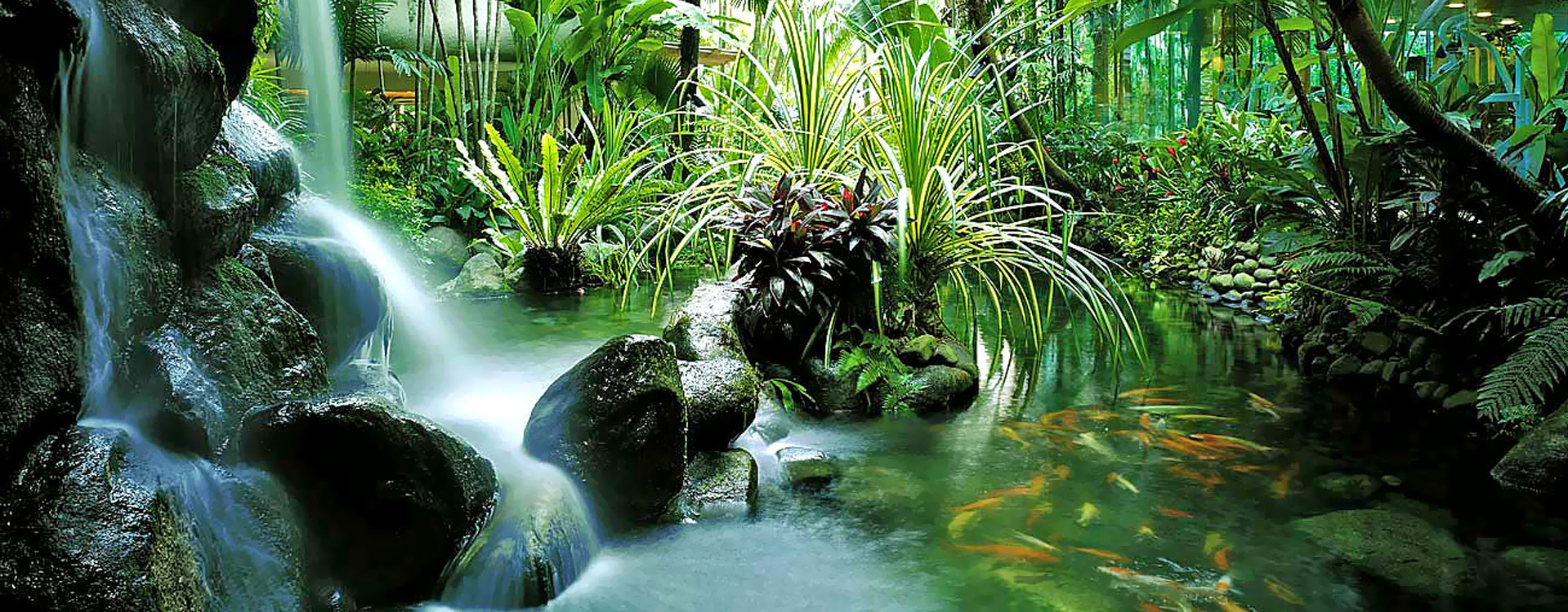 Сад Shangri-La Hotel Singapore