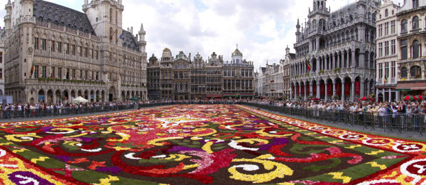 Flower Carpet