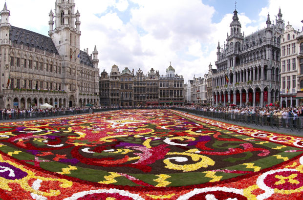 Flower Carpet