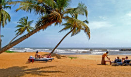 Песчаный пляж Barberyn Beach Ayurveda Resort